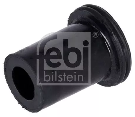 Bushing, leaf spring