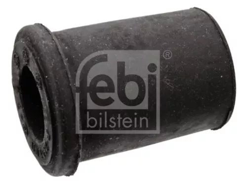 Bushing, leaf spring