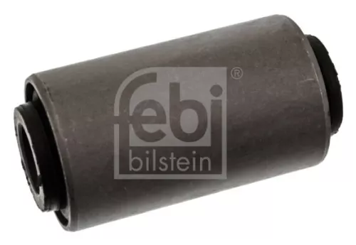 Bushing, leaf spring