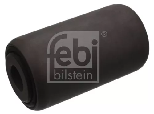Bushing, leaf spring