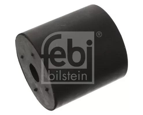 FEBI BILSTEIN FEBI BILSTEIN 45959 Bushing, leaf spring 