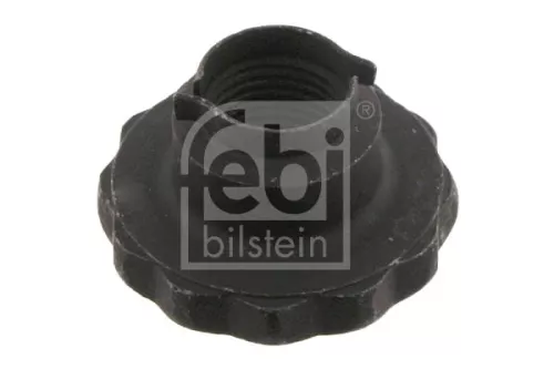 FEBI BILSTEIN FEBI BILSTEIN 46689 Nut, kingpin 