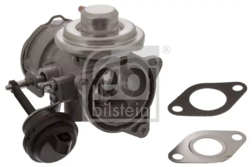 EGR Valve