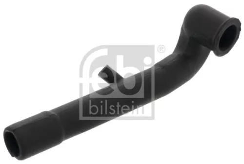 Hose, crankcase ventilation
