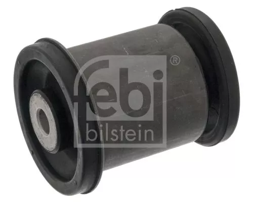 Bushing, leaf spring