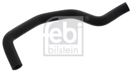 Hose, crankcase ventilation