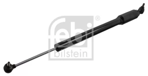 FEBI BILSTEIN FEBI BILSTEIN 49811 Shock Absorber, steering 