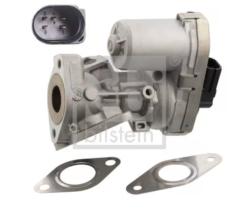 EGR Valve
