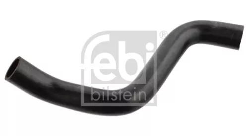 Hose, crankcase ventilation