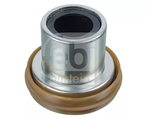 FEBI BILSTEIN FEBI BILSTEIN 107408 Bush, steering knuckle 