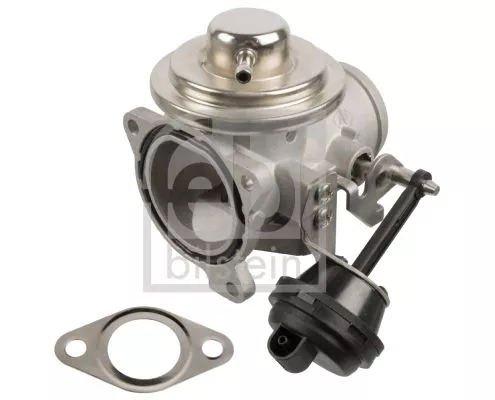 EGR Valve