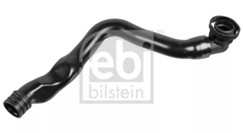 Hose, crankcase ventilation