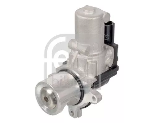 EGR Valve
