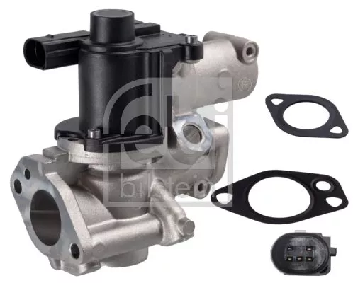 EGR Valve