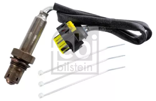 Oxygen Sensor