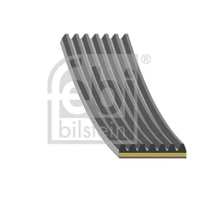 Febi Alternator Belt For Renault Grand Scénic Scénic