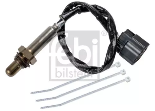 Oxygen Sensor