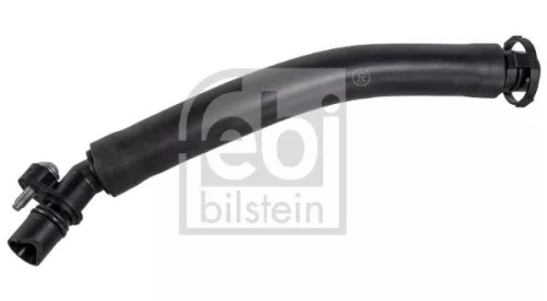 Hose, crankcase ventilation