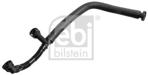 Hose, crankcase ventilation