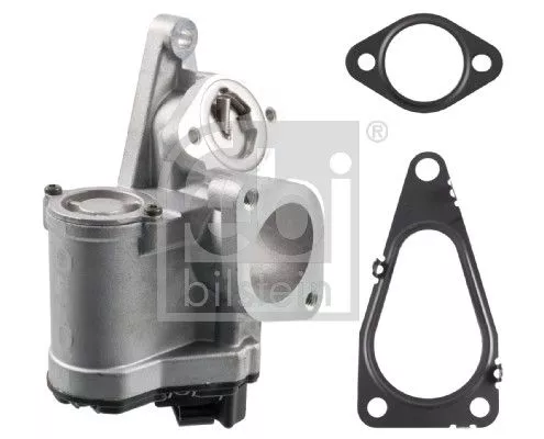 EGR Valve