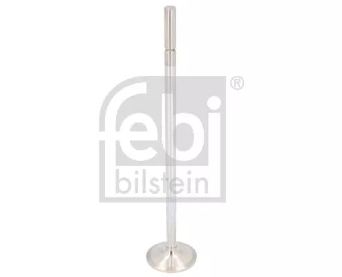 Intake Valve
