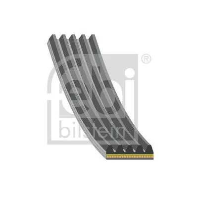FEBI BILSTEIN FEBI BILSTEIN 183324 Febi Alternator Belt For Fiat Lancia 500 500 C Panda Panda Van Ypsilon 