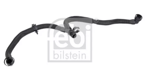 Hose, crankcase ventilation