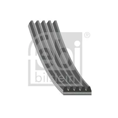 FEBI BILSTEIN FEBI BILSTEIN 186373 Febi Engine Sided Alternator Belt For Mercedes-benz C-class Cls E-class G 