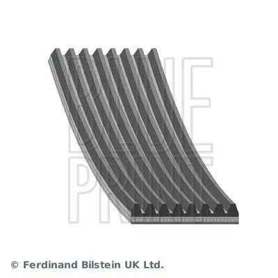 BLUE PRINT BLUE PRINT AD08R1956 Blue Print V-ribbed Belt For Land Rover Range Rover Sport 
