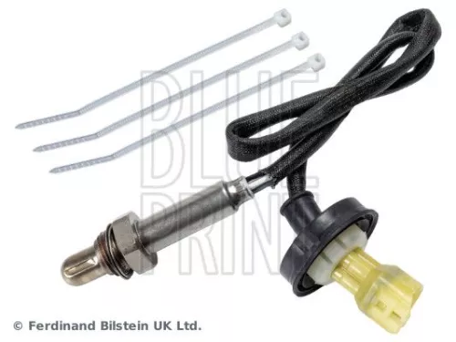 Oxygen Sensor