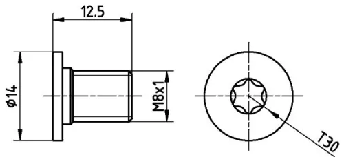 MINTEX MINTEX (TPM0002) 1x Bolt, brake disc 