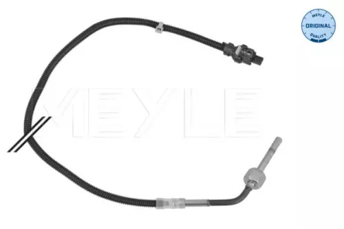 Sensor, exhaust gas temperature