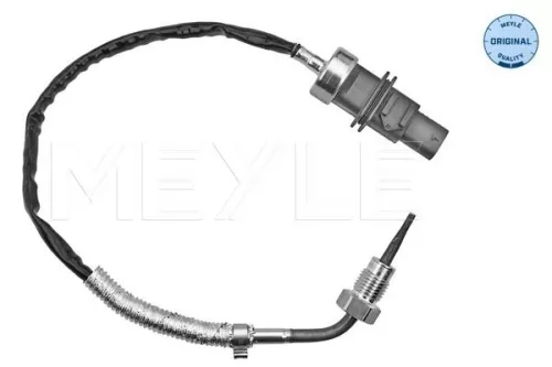 Sensor, exhaust gas temperature