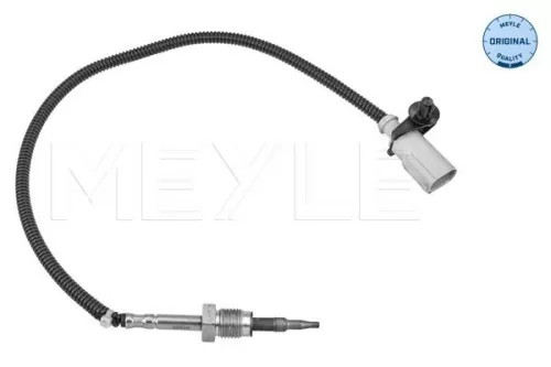 Sensor, exhaust gas temperature