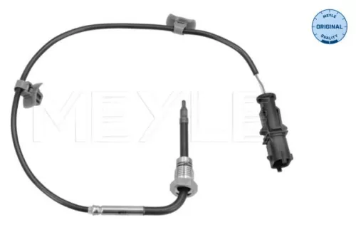 Sensor, exhaust gas temperature
