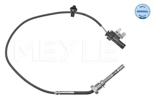 Sensor, exhaust gas temperature