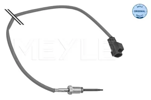 Sensor, exhaust gas temperature