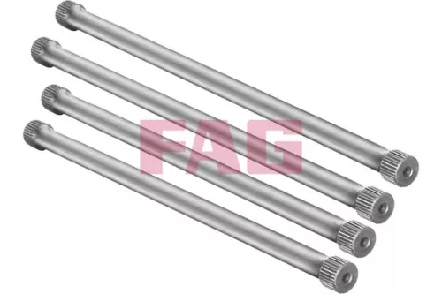 Schaeffler FAG Schaeffler FAG 813000130 Suspension Set, springs 